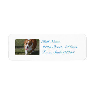 Amazing Corgi Label