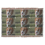 Amazing Corgi Throw Blanket