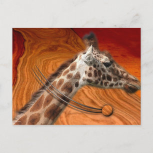 AMAZING CREATURES POSTCARD