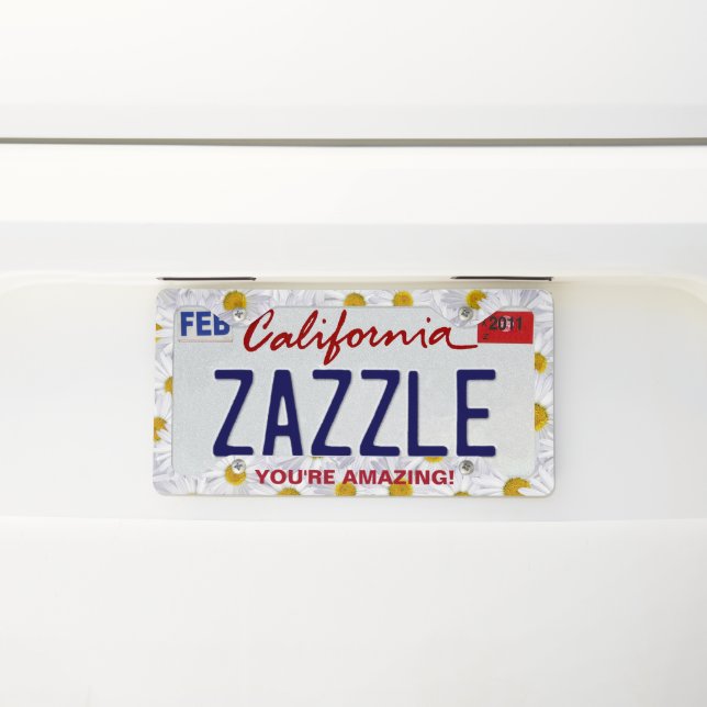 Amazing Daisies License Plate Frame (On Car)