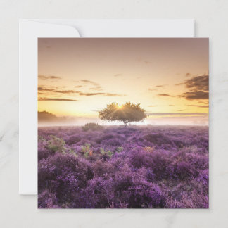 Amazing dawn sunrise single tree & purple heather holiday card