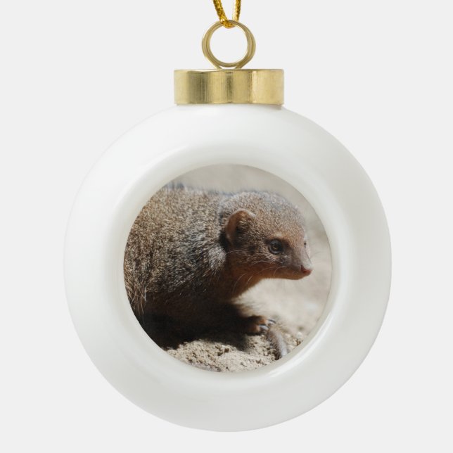 Amazing Dwarf Mongoose Ceramic Ball Christmas Ornament (Front)