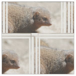 Amazing Dwarf Mongoose Fabric