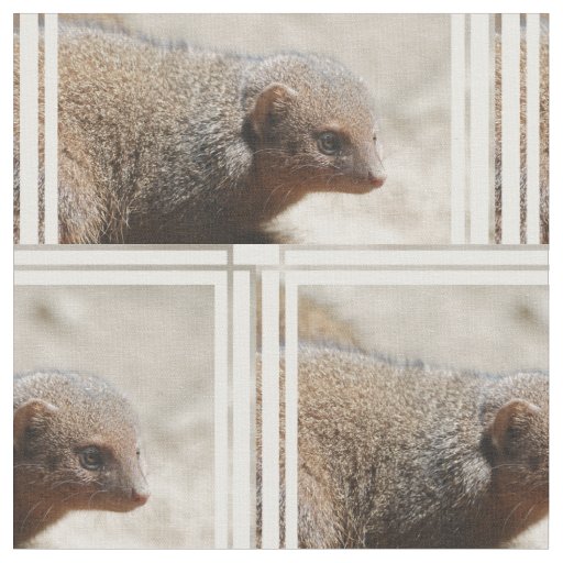 Amazing Dwarf Mongoose Fabric