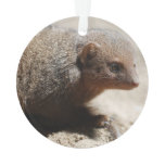 Amazing Dwarf Mongoose Ornament