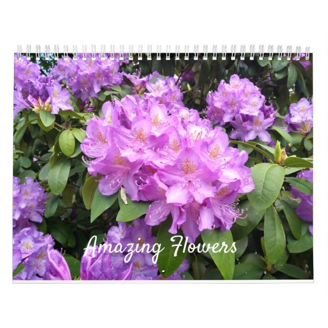 Amazing Flowers Wall Calendar (Cover)