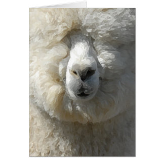 Amazing Gandalf the alpaca Cards