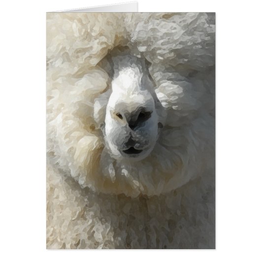 Amazing Gandalf the alpaca Cards (Front)