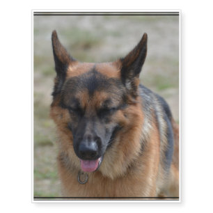 Amazing German Shepherd Temporary Tattoos