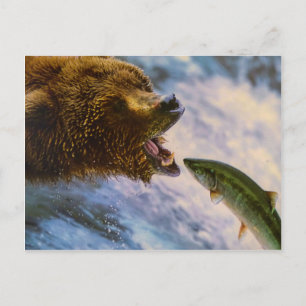 Amazing grizzly bear salmon image postcard