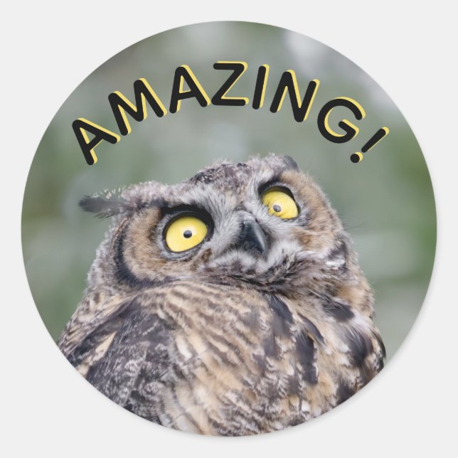 Amazing! Impressed Owl Stickers (Front)