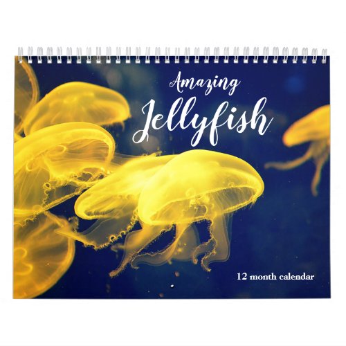 Amazing Jellyfish 2025 Calendar