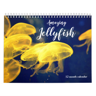 Amazing Jellyfish 2026 Calendar