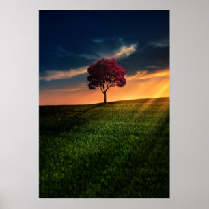 Amazing Landscape with a Red Tree at Sunset Poster