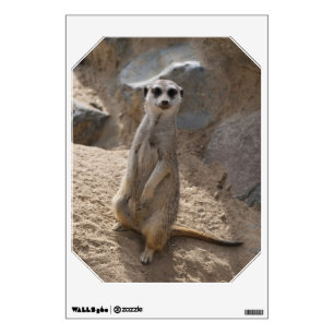 Amazing Meerkat Wall Decal
