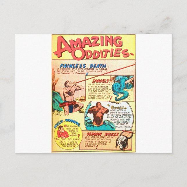 Amazing Oddities Postcard (Front)