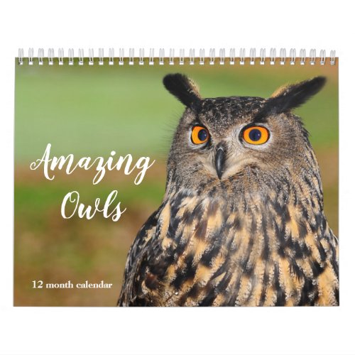 Amazing Owls 2024 Calendar