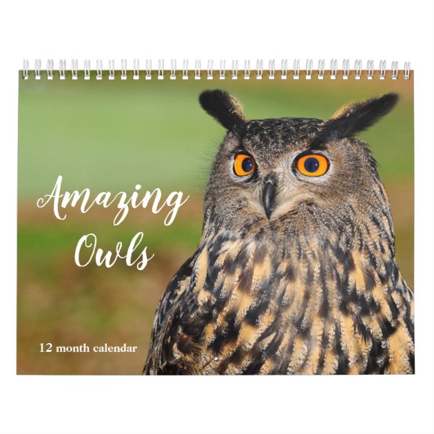 Amazing Owls 2025 Calendar Zazzle Amazing Owls 2025 Calendar Rfb02dd6d935e4778843b76eccd3fef8d Kvgga 8byvr 630