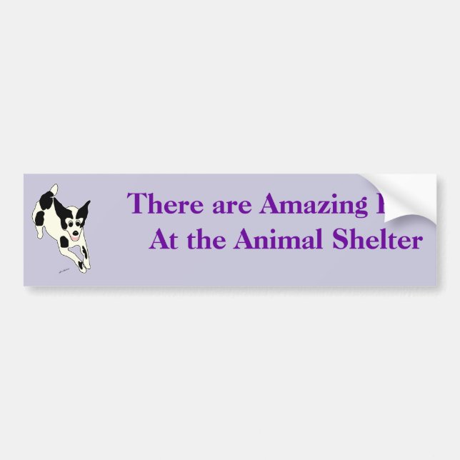 Amazing Pets Bumper Sticker 17 (Front)