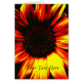 amazing picture of large yellow sunflower (Front)