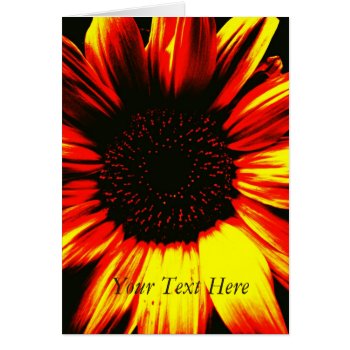 Amazing Picture Of Large Yellow Sunflower by artoriginals at Zazzle