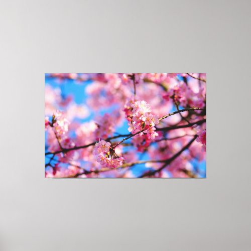 Amazing Pink Sakura And Blue Sky Of Spring Canvas Print