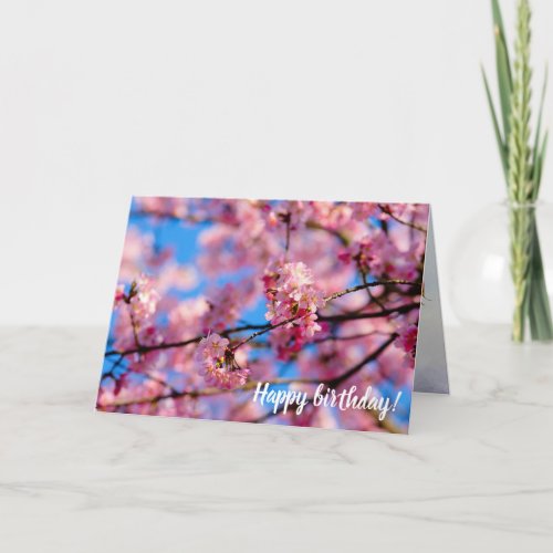 Amazing Pink Sakura And Blue Sky Of Spring Card
