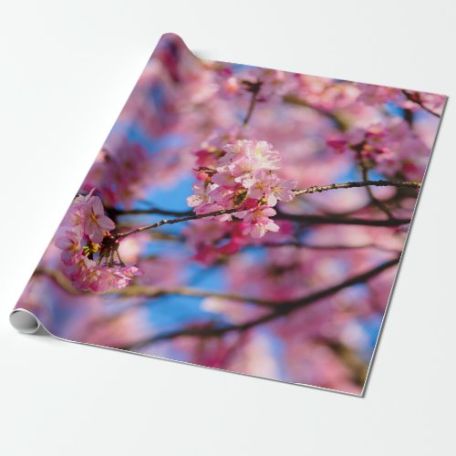 Amazing Pink Sakura And Blue Sky  Wrapping Paper