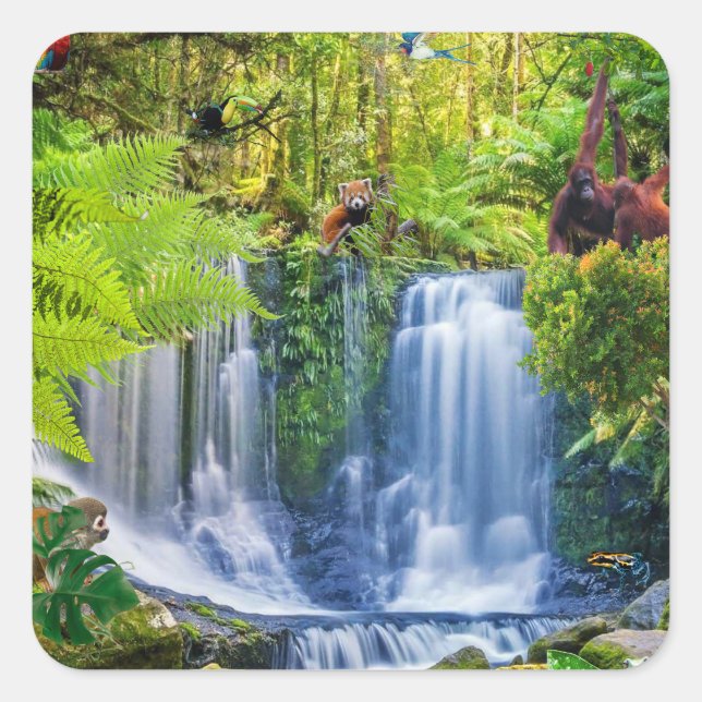 Amazing Rainforest & Animals Square Sticker (Front)