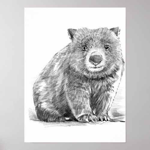 Amazing realistic wombat in pencil drawing style poster