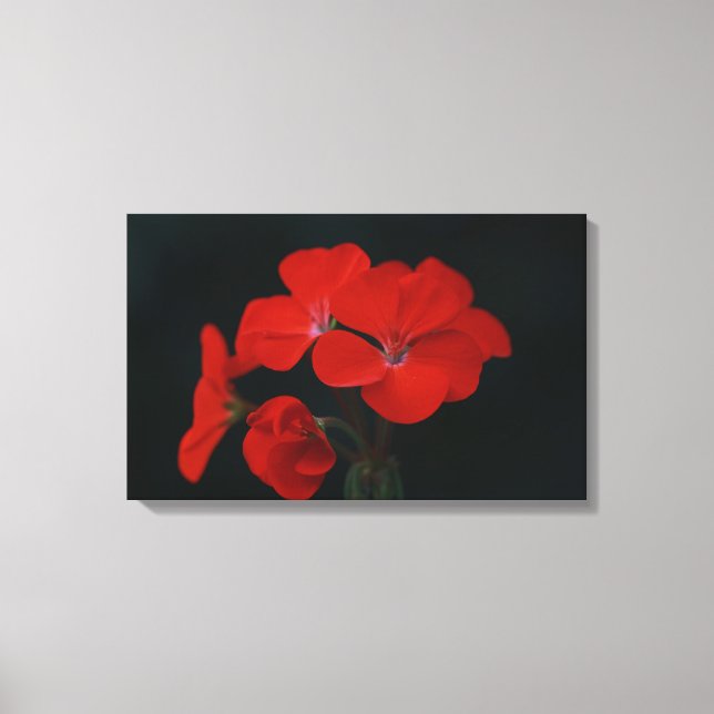 Amazing Red Flowers Stretched Canvas Print (Front)