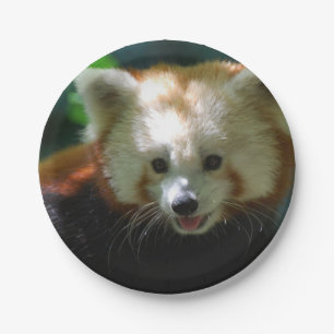 Amazing Red Panda Paper Plates