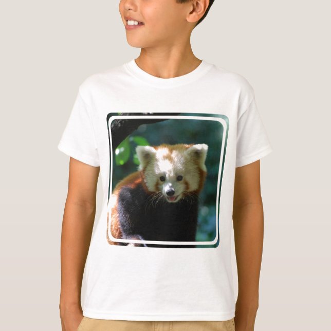Amazing Red Panda T-Shirt (Front)