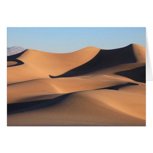 Amazing Shadows of Desert (Front Horizontal)