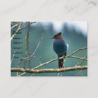 Amazing Stellar Jay Business Card