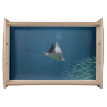 Amazing Stingray Serving Tray