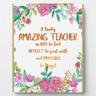 Amazing Teacher Appreciation Gift Sign Thank you Plaque