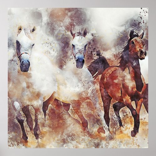 Amazing white and bay horses in a gallop poster
