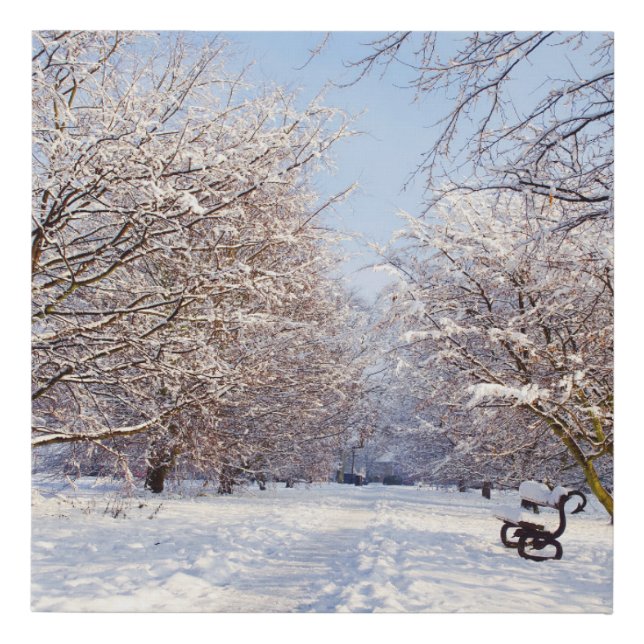 Amazing Winter Scene Faux Canvas Print (Front)