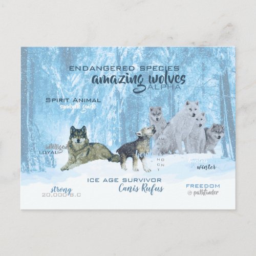 Amazing Wolves Typography  Personalized Postcard