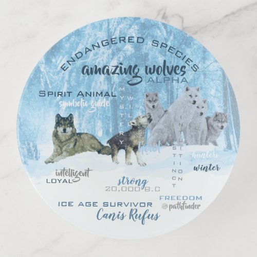 Amazing Wolves Typography  Personalized Trinket Tray