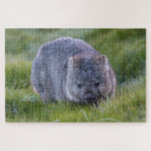 Amazing Wombat in the Grass Australia, 1014 pieces Jigsaw Puzzle