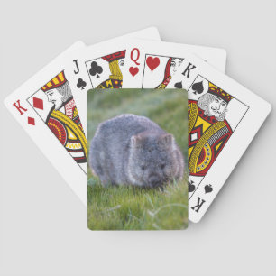 Amazing Wombat in the Grass Australia, Green Poker Cards