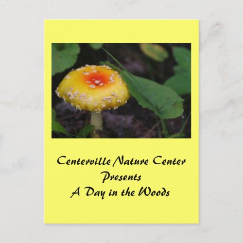 Amazing Yellow Mushroom Postcard