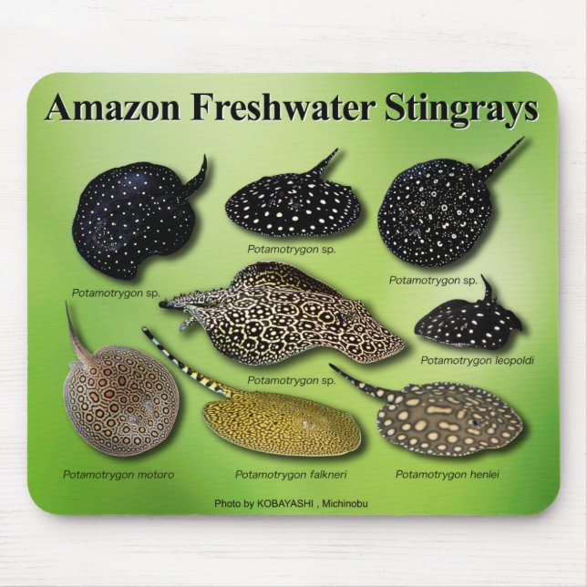 Amazon Freshwater Stingrays Mouse Pad (Front)