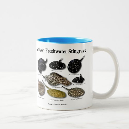 Amazon Freshwater Stingrays Two_Tone Coffee Mug