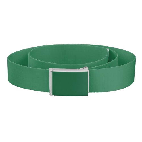Amazon Green Solid Color Print Nature Inspired Belt