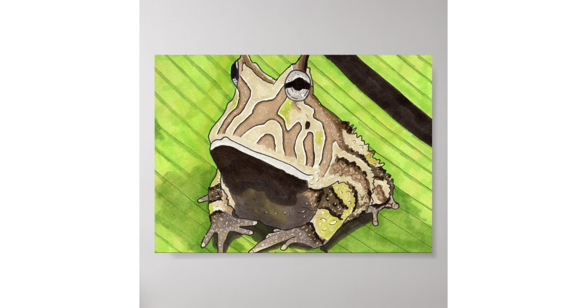 SALE Cute Frog 5x7 Print