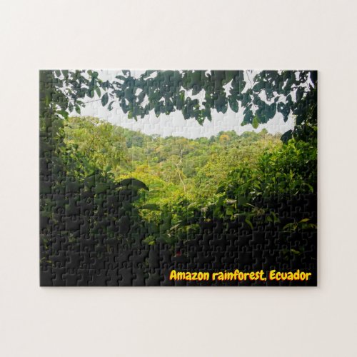 Amazon jungle 252_pc jigsaw puzzle