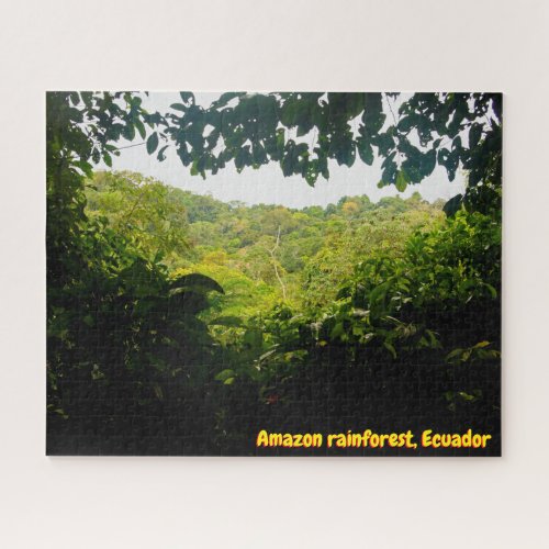 Amazon jungle 520_pc jigsaw puzzle